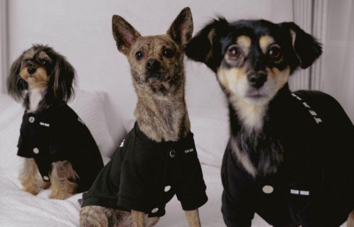 TEAM WANG design 发布 THE ORIGINAL 1 全新生活方式子系列 —— “FRIENDS”