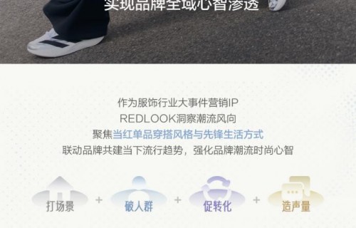 IP Solution｜春上新趋势破局，REDLOOK助品牌长效增长